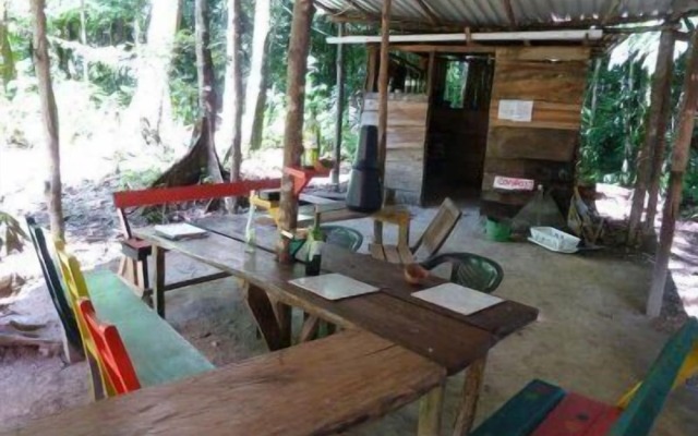 3 Rivers & Rosalie Forest Eco Lodge