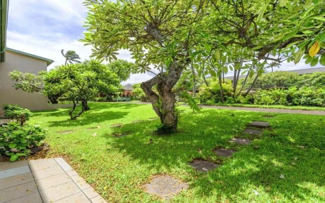 Napili Shores D127