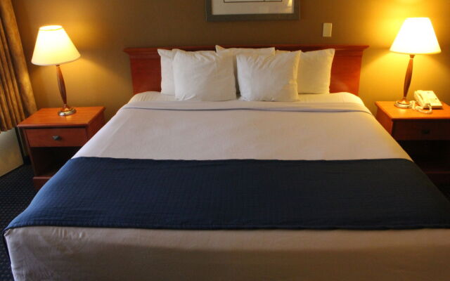Best Western Toni Inn