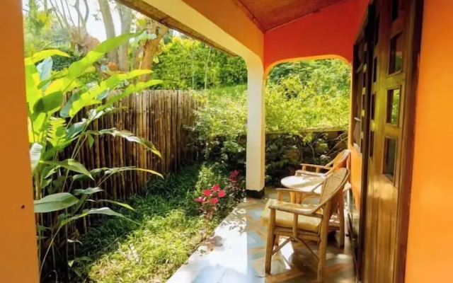 Ruwenzori View Guest House