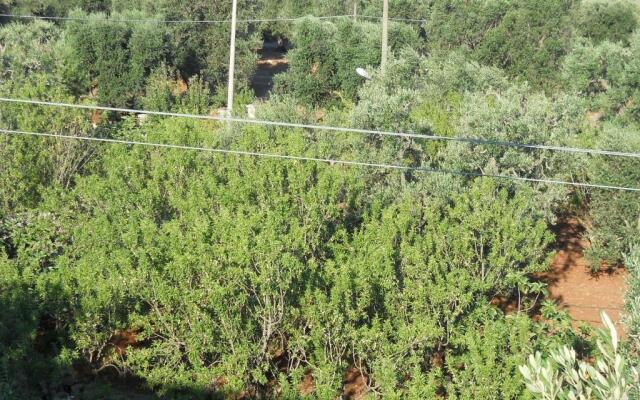 Villa Conte in Salento