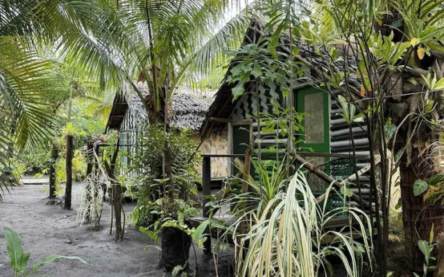 Jungle Oasis