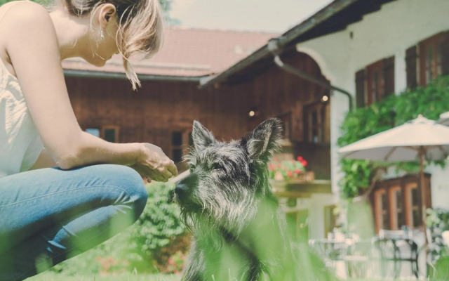 Der Lederer Hof - Boutique Apartments