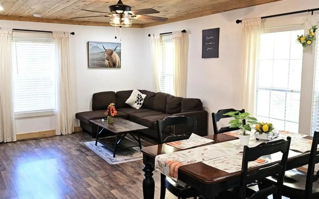 Modern Style Peaceful Tranquility Pet Friendly