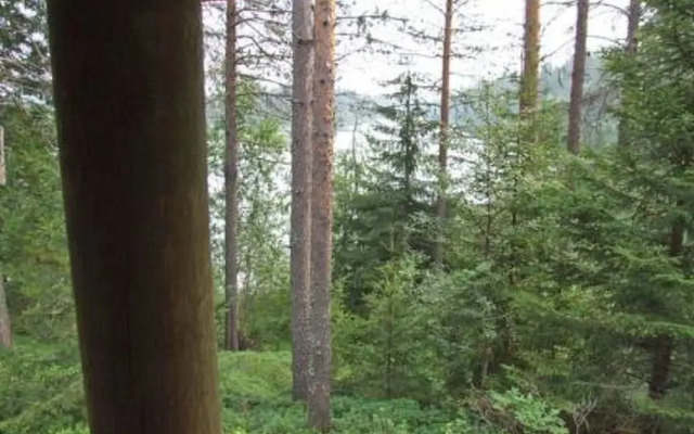 Mets Maja Kuusamo in Kuusamo