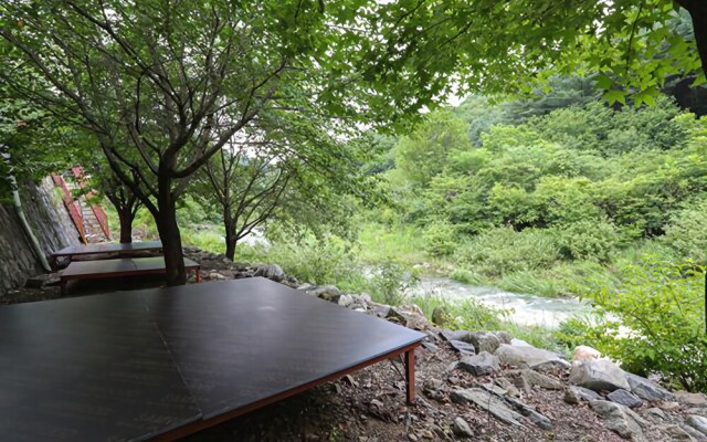 Sangol story pension