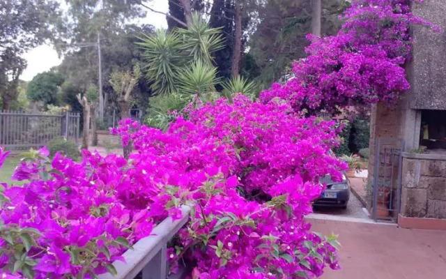 Casa Rita