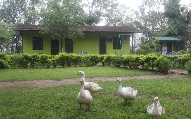 Suklaphanta Jungle Cottage