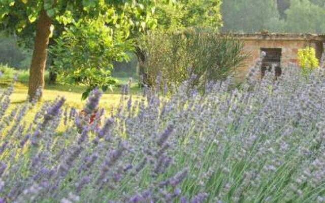 B&B Mulino Barchio