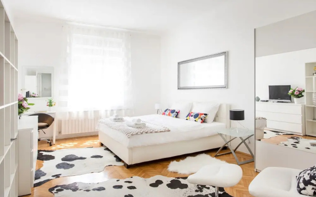 Spacious 2bdr Apartment on Tkalciceva Street