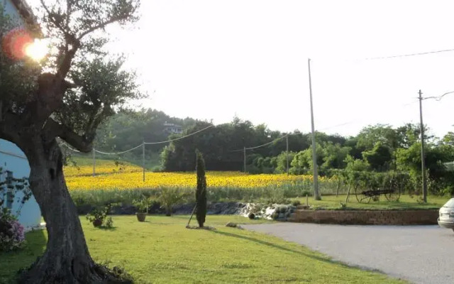 Casa Vacanze Al Mare a Pesaro