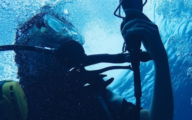 Serra de Prades Resort - Campsite