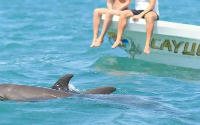 Boutique Condo w Private Pool in La Veleta