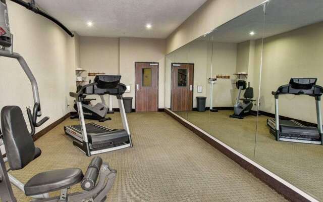 Comfort Inn And Suites Alvarado