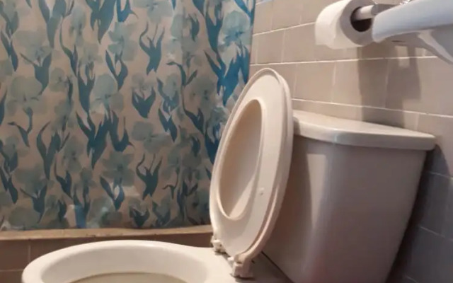Hostal Transilvania