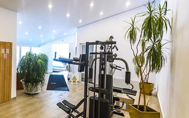 Andy Hotel Predeal