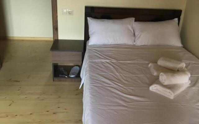 Mtskheta Wellpoint Arsukidze 48