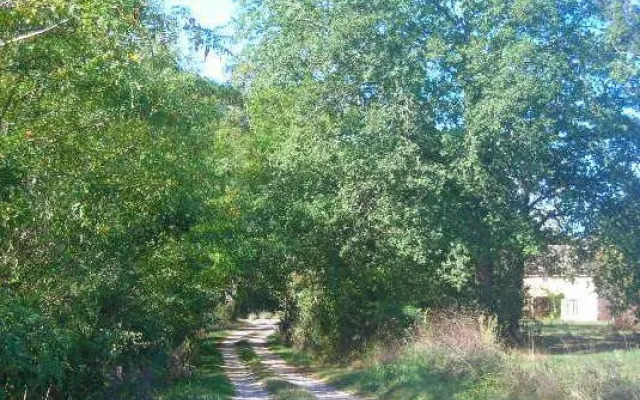 Chambre dhôtes La Première Vigne