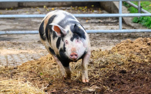 Ferienhotel Gut Enghagen