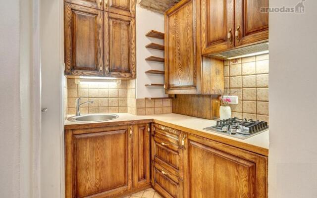 Old Town Saviciaus street Apartment