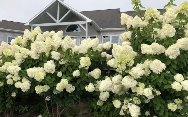 The Lake House Bed & Breakfast