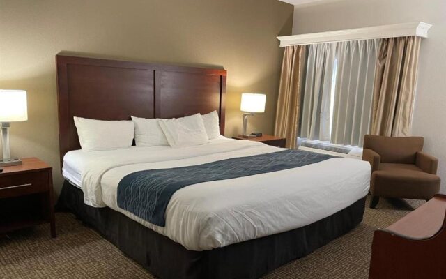 Comfort Inn Downtown - University Area