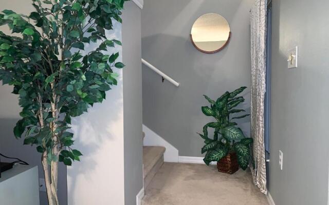 Terra Verde Vacation Rentals