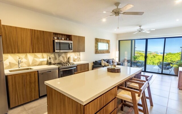 Agaves 204
