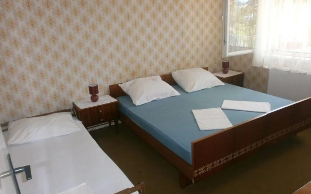 Nikola - Afordable & Close to Center - A1