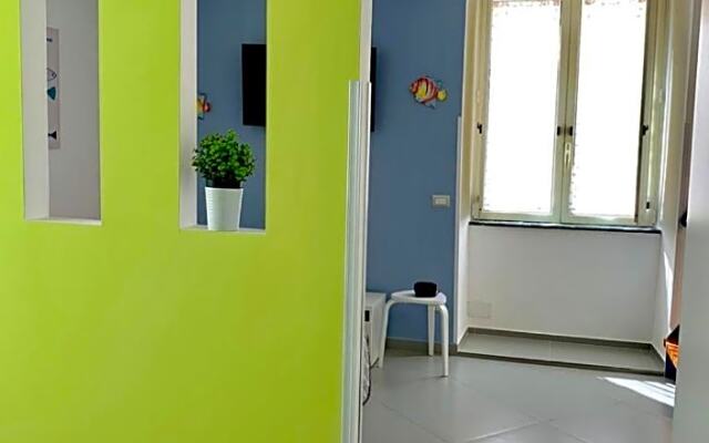 B&B Starview