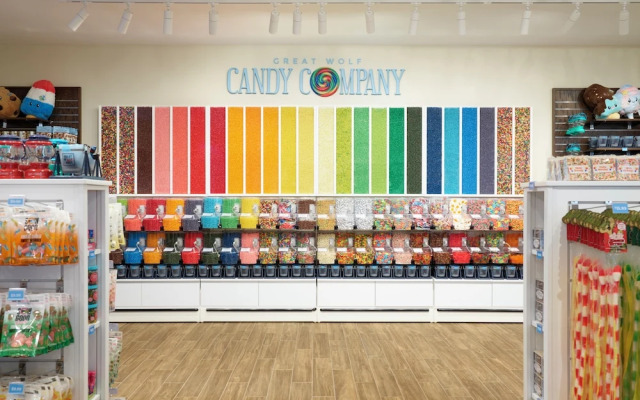 Great Wolf Lodge Webster