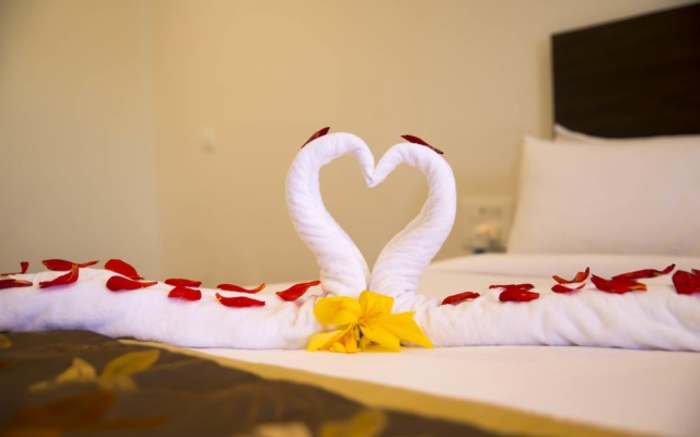 Starling River Resort