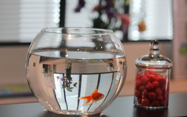 Le Cornouaille Hotel & Spa