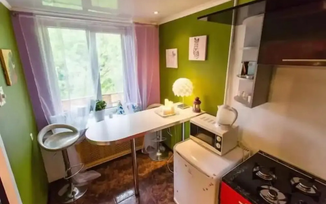 Apartment on Nizhegorodskaya 63