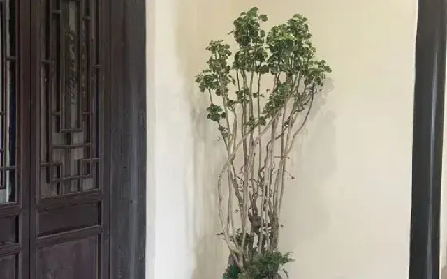 Tangqi Home Siheyuan (Hangzhou Tangqi Ancient Town Store)