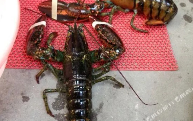 Fuhai Yujia Hotel(日照富海渔家旅馆)