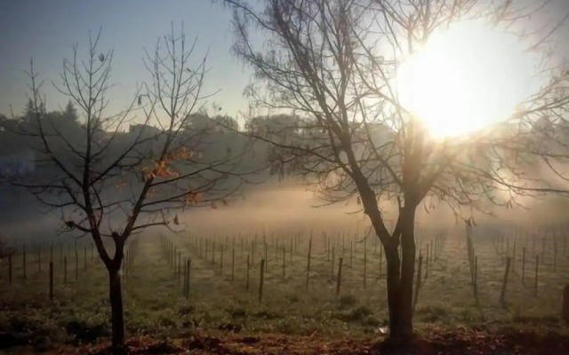 Angelucci Agriturismo con Camere e Agri Camping