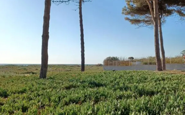 Oro Biancu