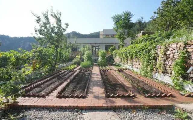 Manshan Shishe Homestay