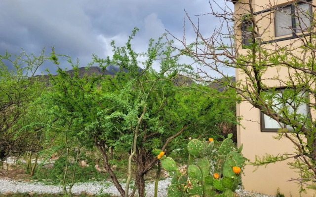 Lofts de Caminos al Ser