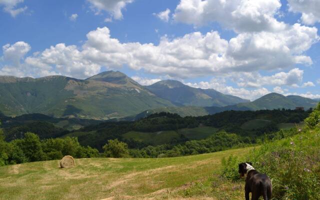 Sant'Apollinare Farm House