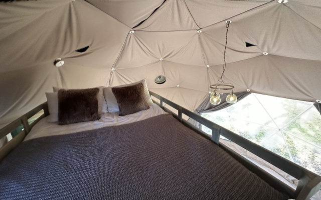 Luna Domes