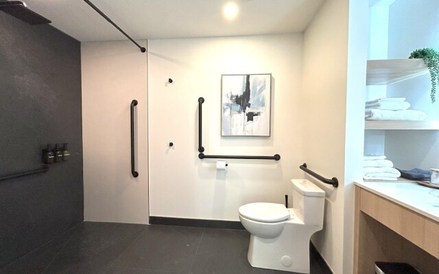 Le Héron - Studios Nature