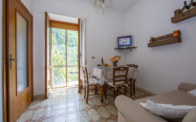 Glicine among vineyard