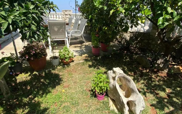 Vila MARE