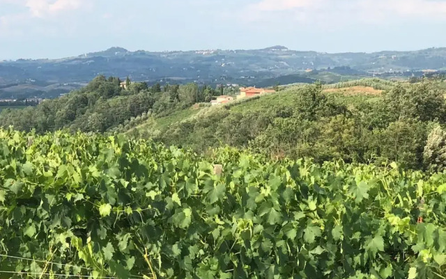 Agriturismo LOlmo