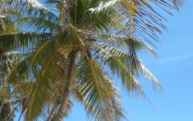 Beach Heaven Maldives - Ocean Vibes Guesthouse