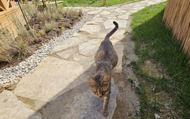 Teona Kartepe Bungalov