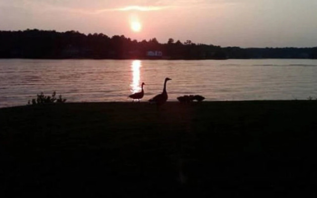 Fairfield Plantation Resort