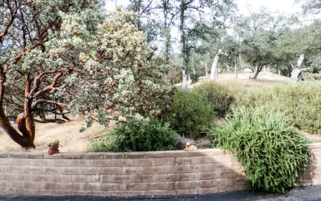 Westview Majestic View Home